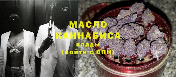 индика Вязники